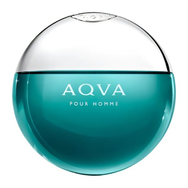 Bvlgari AQVA Pour Homme 100ml edt