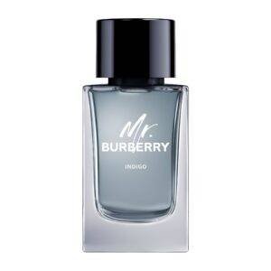 Mr. Burberry Indigo 100ml edt