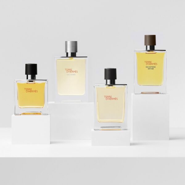 Terre d'Hermes Eau De Toilette 100ml – Image 4