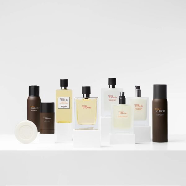 Terre d'Hermes Eau De Toilette 100ml – Image 3