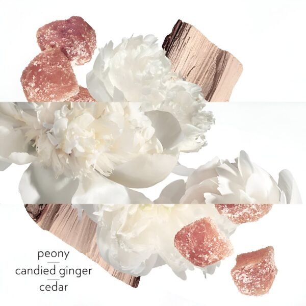 Twilly Eau ginger 85ml Eau De Parfum – Image 3