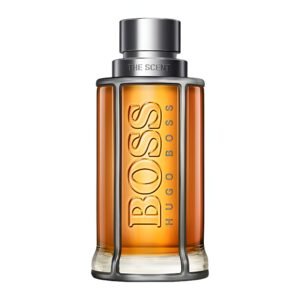 The scent 100ml edt