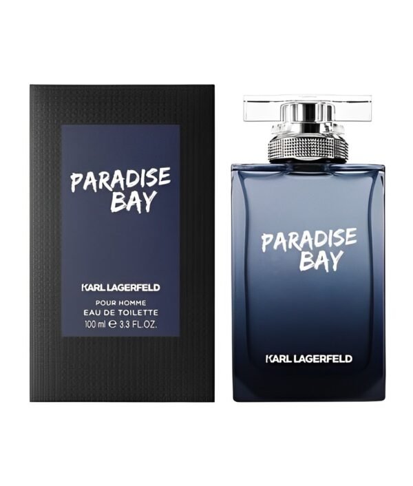 Paradise Bay pour Homme 100ml edt – Image 2