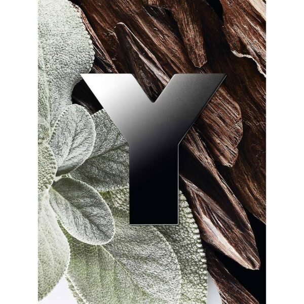 Y Eau De Parfum 100ml – Image 3